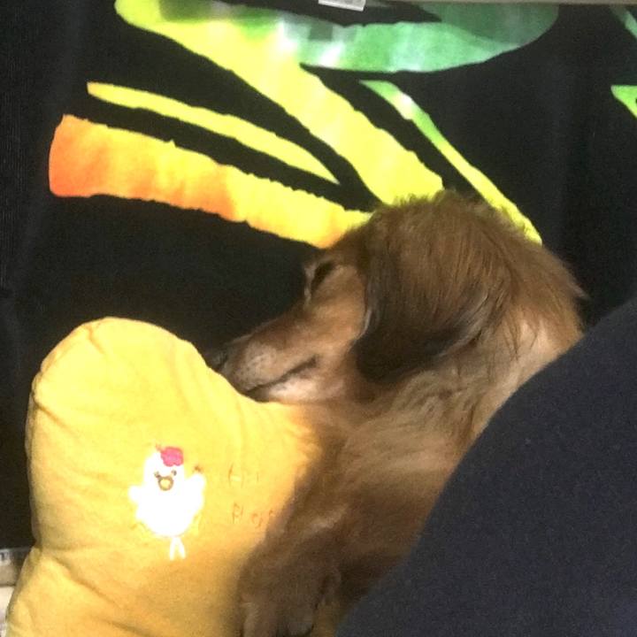 A77d6ecd 071e 4fc1 9492 3456c1881d84 1588936604836