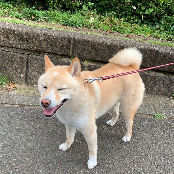 A77d9592 e11b 4782 8c0c a1b9d8dfeefe 1624404454614