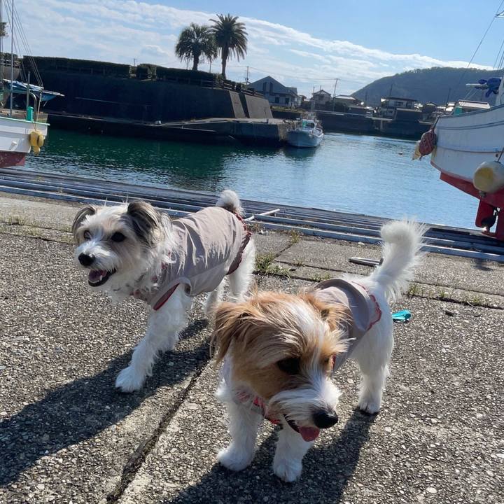 A77da6e5 89b0 4a3a 8ff2 cc1a44358452 1773320740171