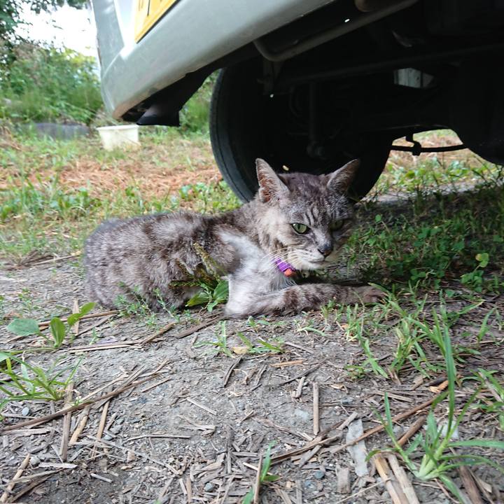 A77dc84d f6a1 4bbe 9e7b bd6455585d8e 1598745723623