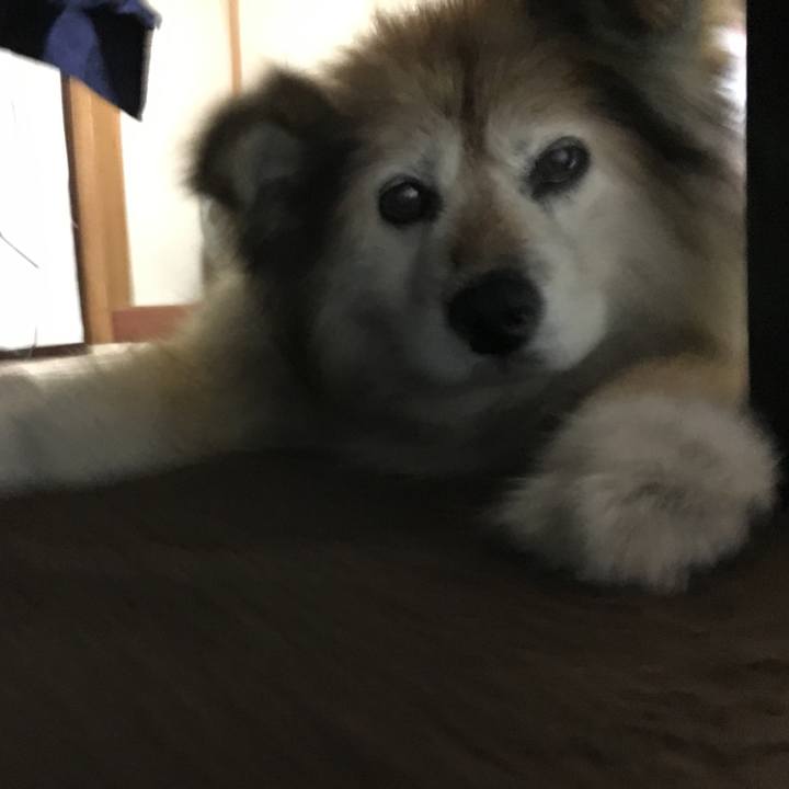 A77e0b09 4623 4419 b27f 238814c7c366 1624593814103