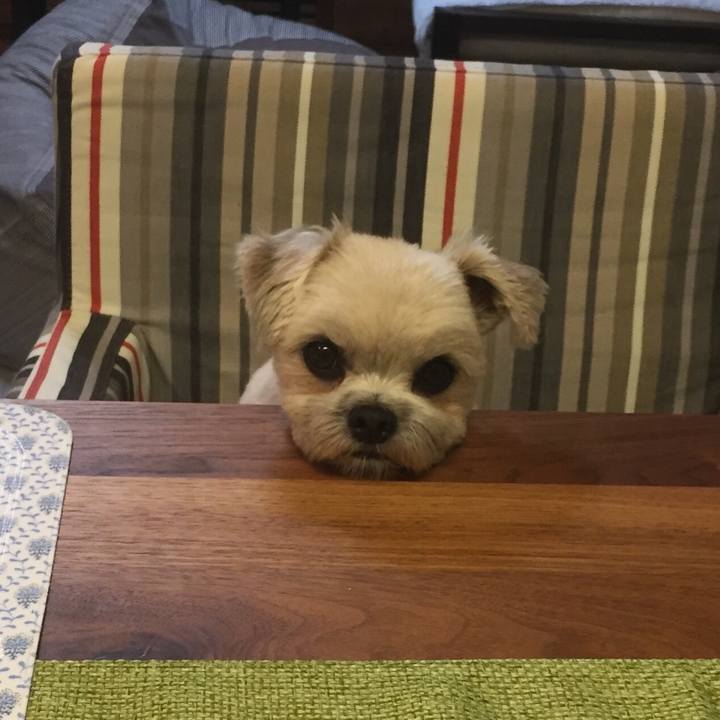 A77e268d 9600 496d b9d7 b1b0988c3125 1526355273203