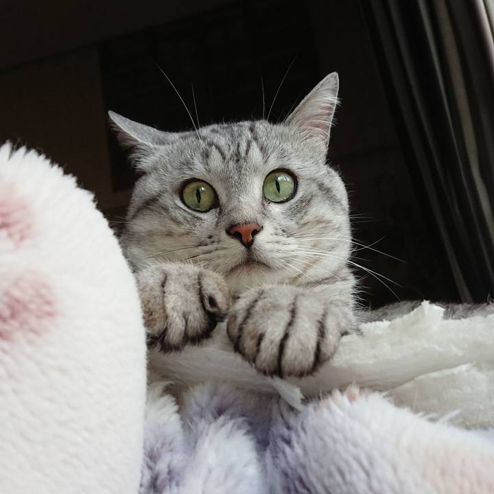 A77e35db b543 46ee a95b b3b2642cbdad 1566267918910