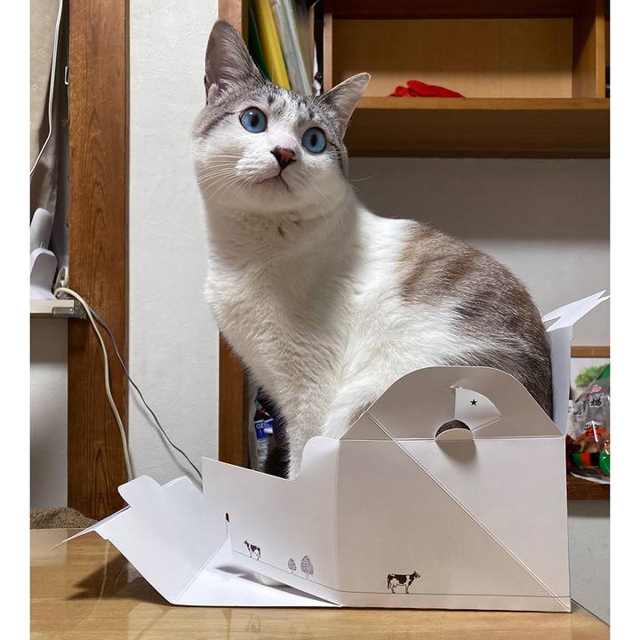 A77e6d12 9b92 4d8c a1aa 02aaedb0e063 1671061360336