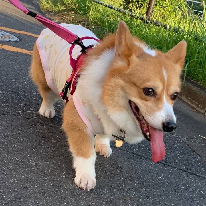 A77e6d33 1f48 4fee a8d2 41ab4f610564 1599600764714