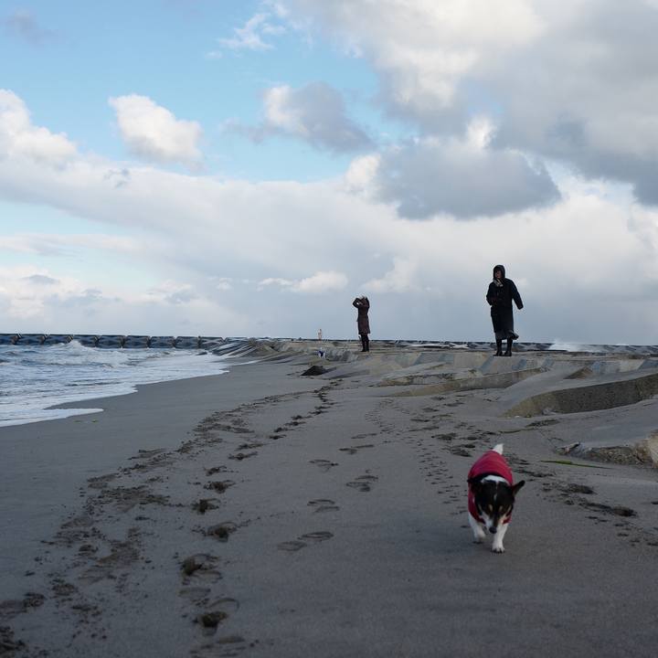 A77e8728 8fab 4eb2 84dd c1dced531c37 1546223353237