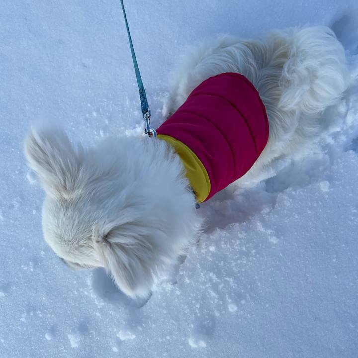 A77e91bf 8e02 4a4f 9eae 33e4a8c46ef7 1641856678796