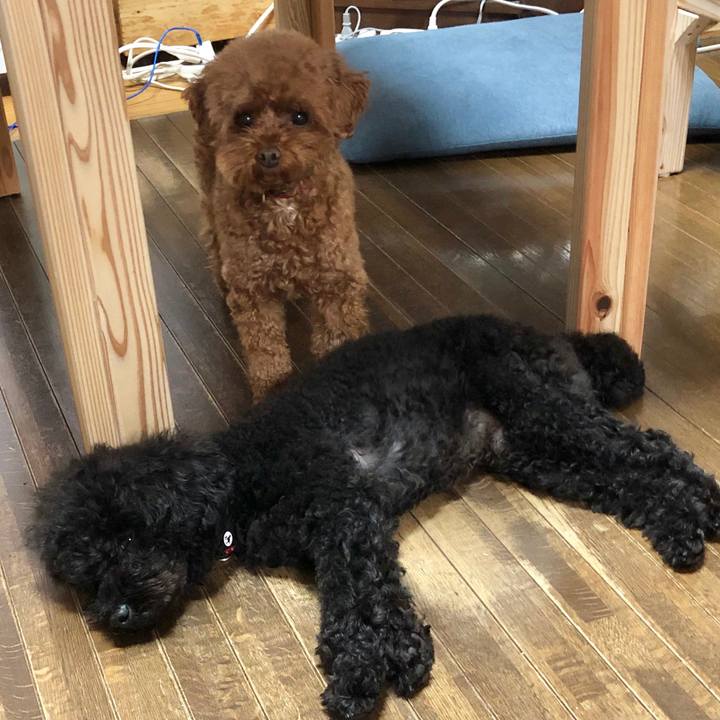 A77ec88f d820 4ec0 a7e6 786bcf13e244 1576911951008