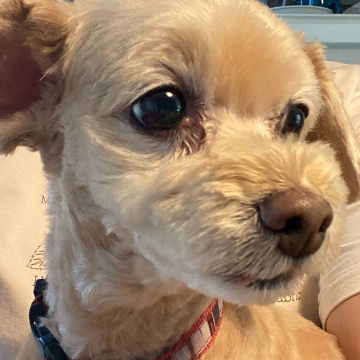 A77ec9f2 6120 4596 be0a 6f600b570594 1631664000215