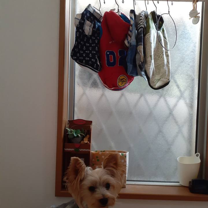 A77efa8e 2f8f 4c5c 82f3 82a65a22ba6a 1601864768426