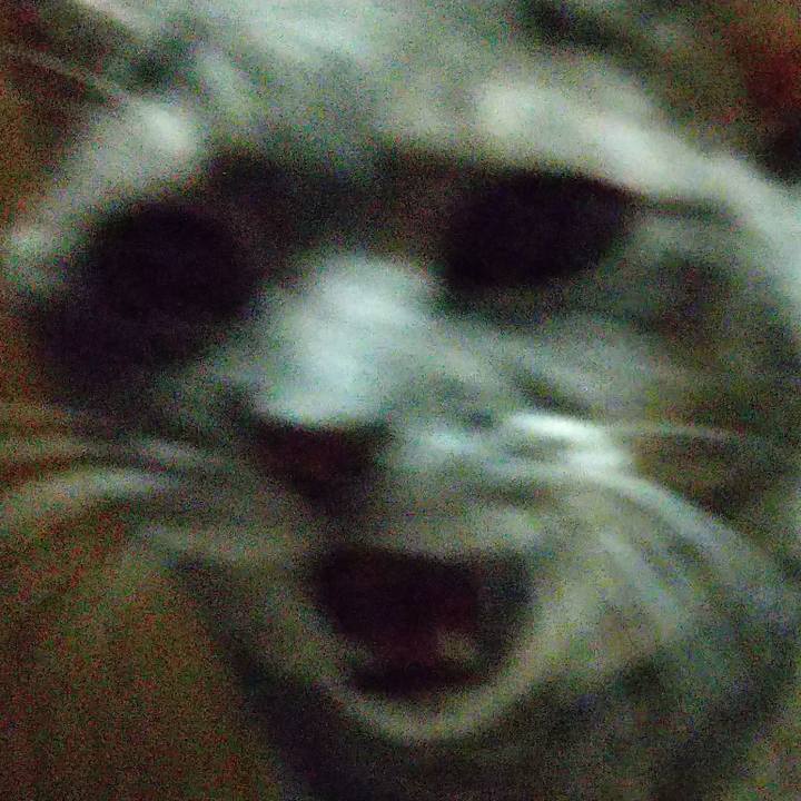 A77f02a1 ca11 4023 b5a3 d1a728a96770 1600513155917