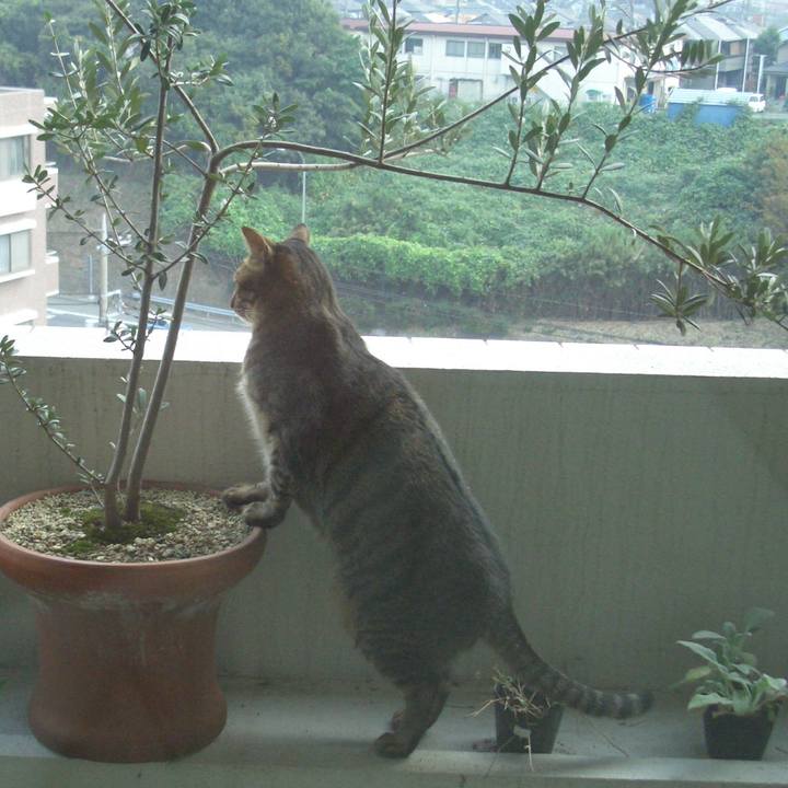 A77f089f 3e31 46d0 91ca 2b6f7baed8a3 1573026519126