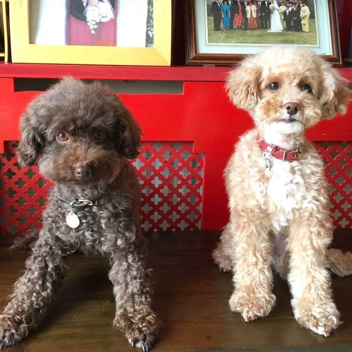 A77f1f9e 7194 46a4 860a 1ab2c2d97266 1523440252998