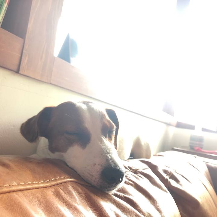 A77f2b9f 806a 440b b217 4da0d8505422 1562321484155