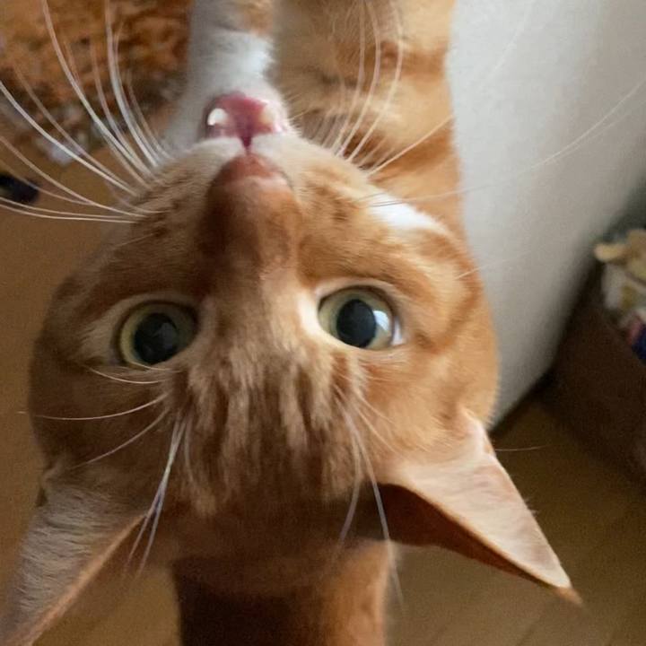 A77fb54b b71c 45c8 a1cd 2cf1915ab283 1653742597796