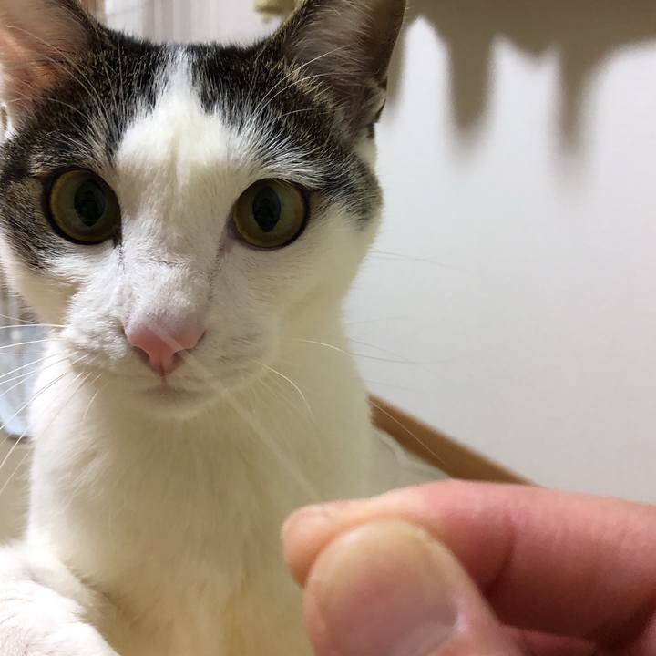 A780586f 0965 442e a2f9 647278461682 1617195645349