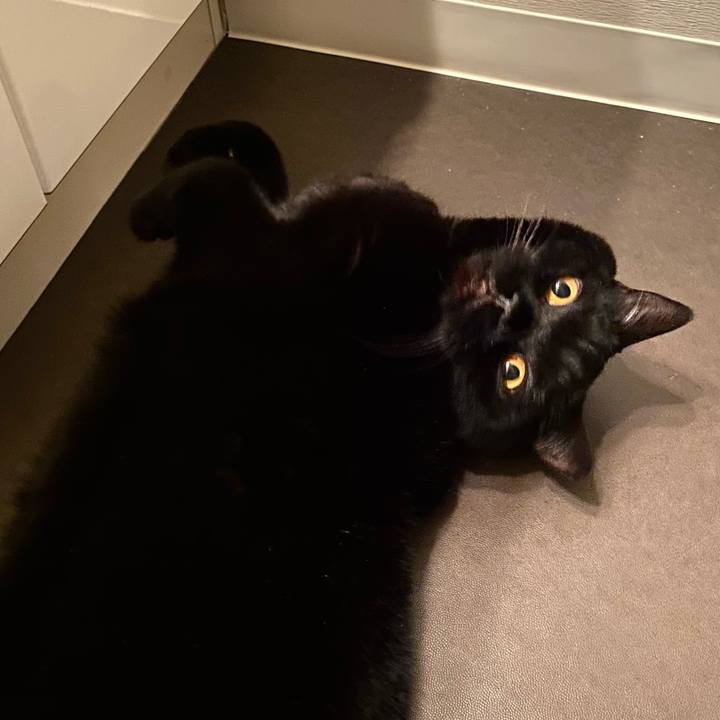 A7807abb 0181 445b 8674 117032633c79 1739279546612