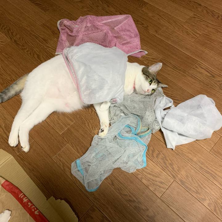 A7808cd3 42d5 48c0 8127 23976ded2ea4 1570802610570