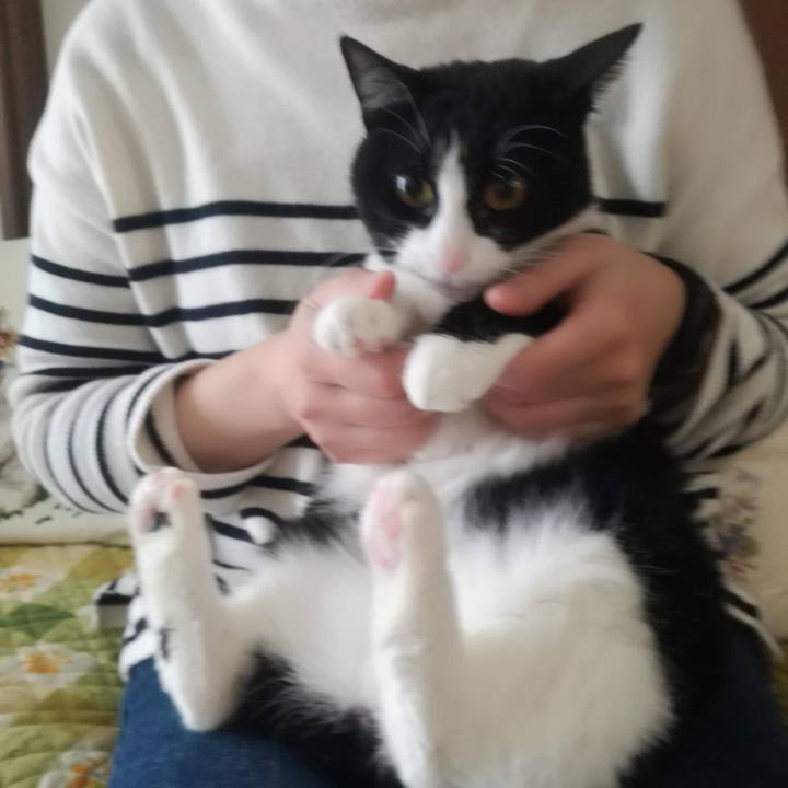 A7810e27 1edc 4669 a3c0 42b46f7917d8 1554020292646