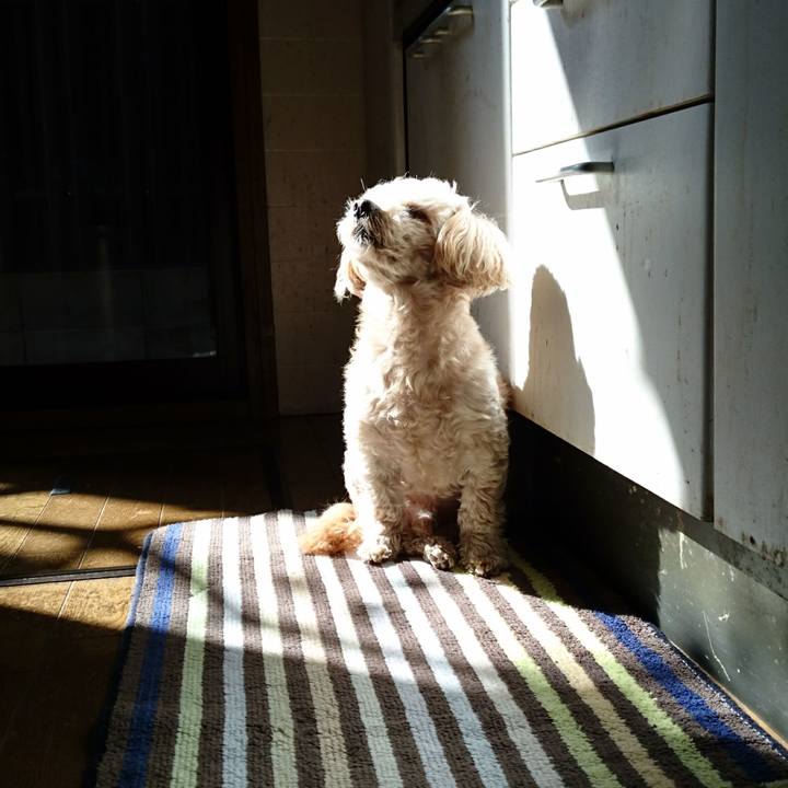 A781103f 95e3 4413 ab90 17e3e2c11cd4 1614402884013