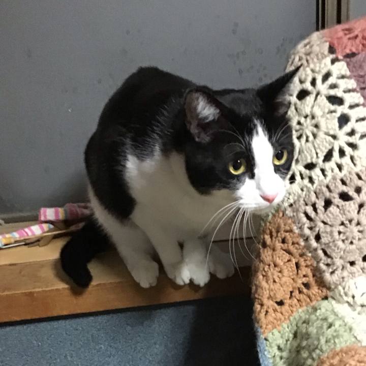 A7812203 f1a2 443e 8578 d702f755c808 1707814726655