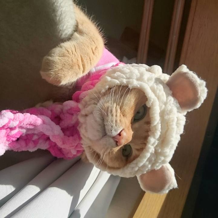 A78123d4 9d66 43d5 91c3 ecb26abd0fff 1514188351954