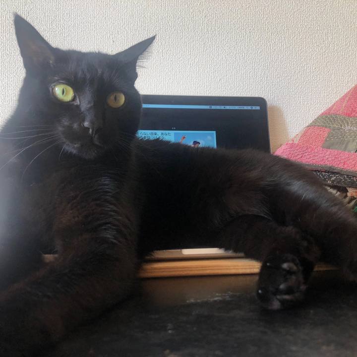 A7815f38 2825 4f20 9083 90d082a69cba 1582942732081