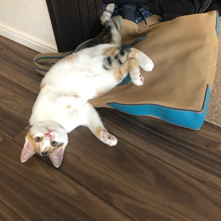 A78165f7 6d75 4e7f 84d7 47ebe3a25a71 1566948757137