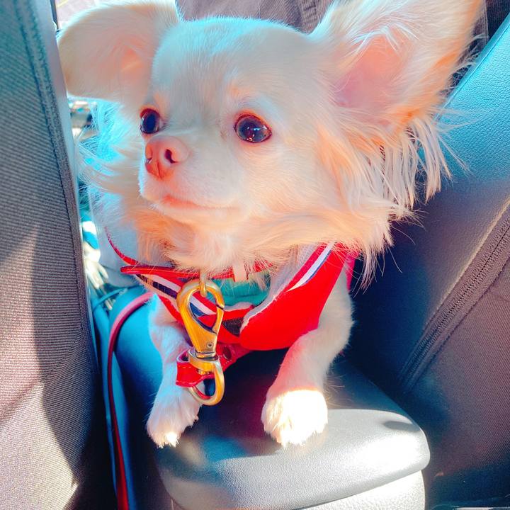 A78172e0 26d6 4479 aa46 fa059e3724d8 1639795203139