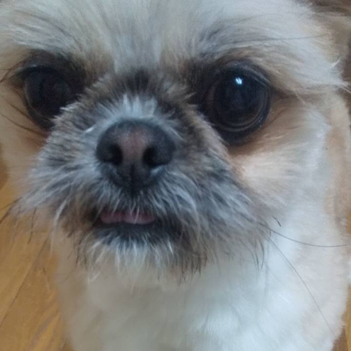 A781969e 481c 4753 bca1 d411a2844bba 1707988954243