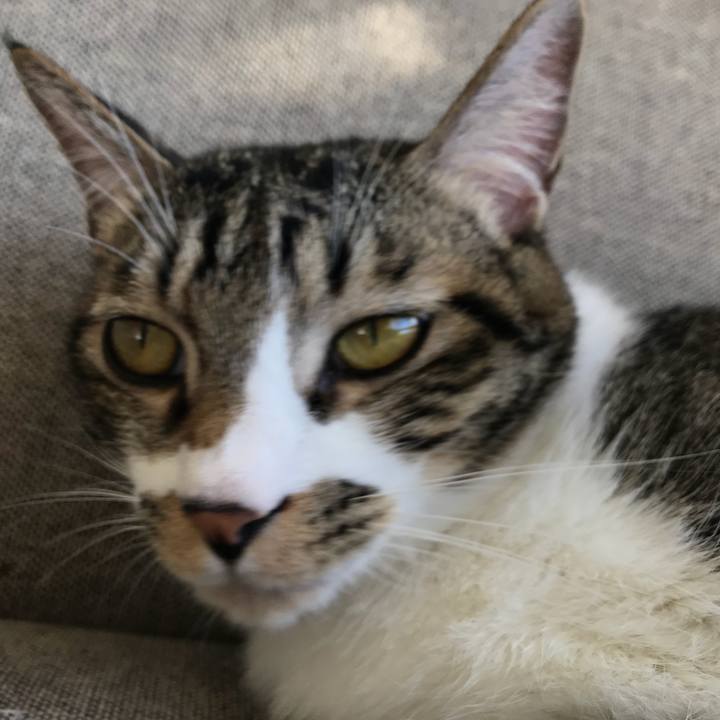 A781b411 2e17 42c6 aafb 6c4d3a0904e8 1512177695000