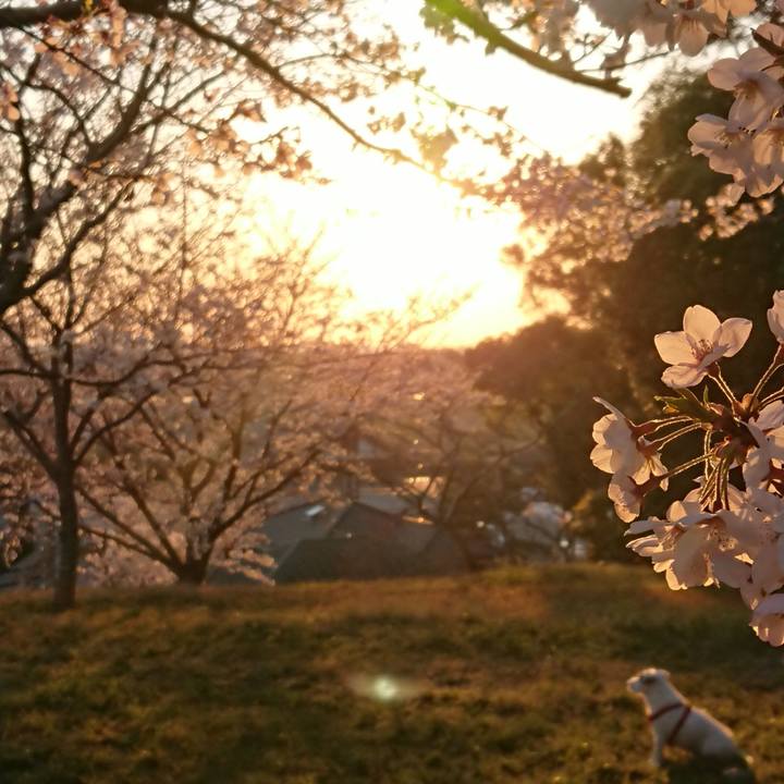 A7822dac c808 4513 81bb b4095564a75f 1554650178475