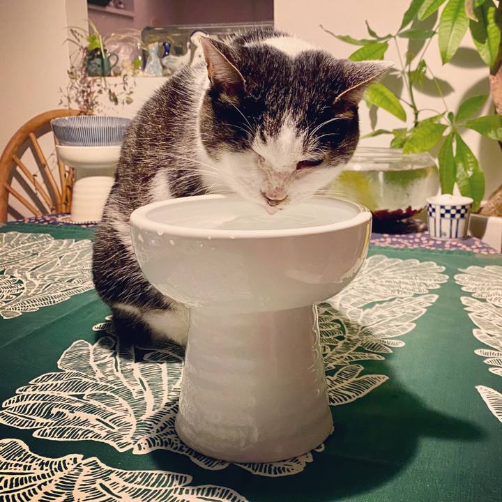 A7825283 2da4 42af 8f96 d00b6622c019 1578472576932