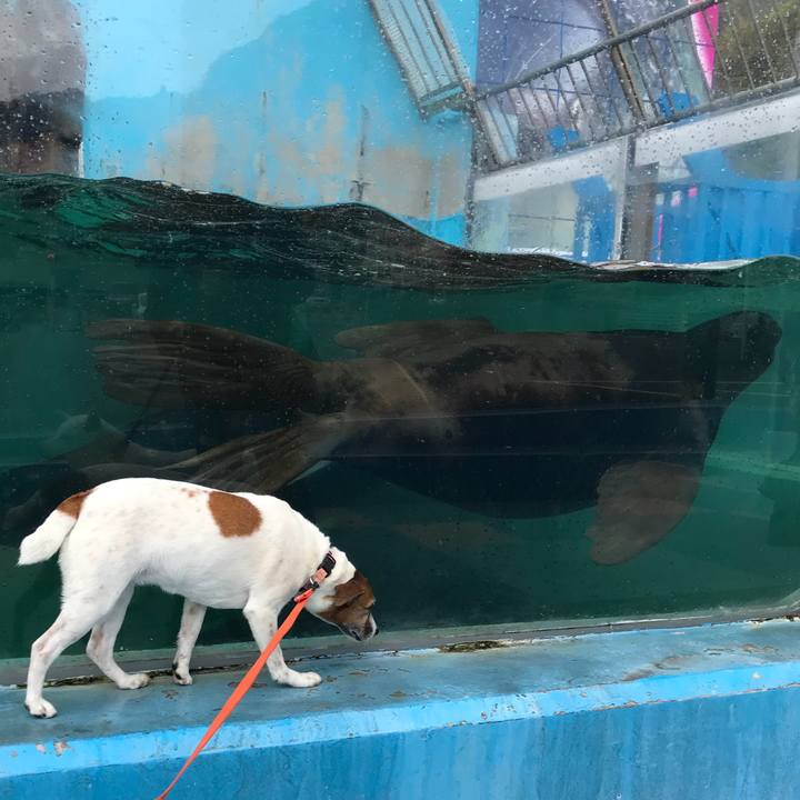 A782c9db 4f85 45af 9e06 dd0ad7fb980c 1523796096442