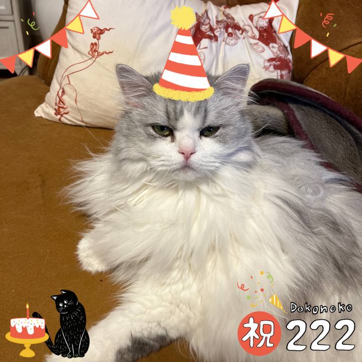 A782cd97 e7db 49de a8cf 10eedebb9216 1645495916333