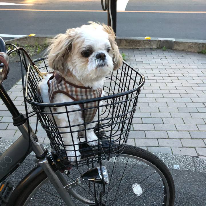 A782e7b9 a832 4c46 b24e 79a431a2c8b2 1525210802087