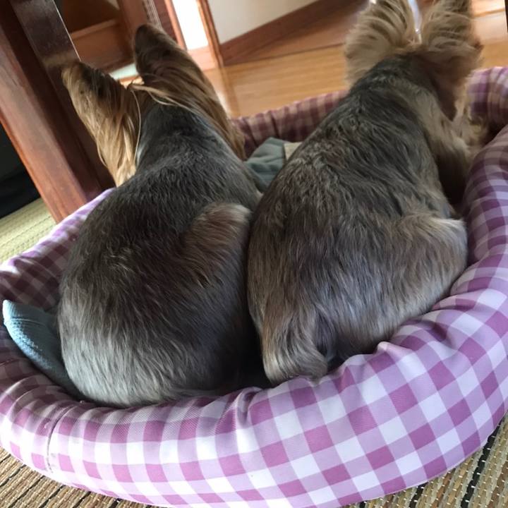 A782f940 7f25 4ae8 bcfc e1bf185d0915 1599990833130