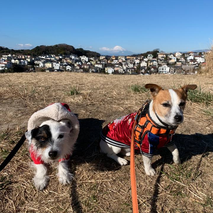 A7835a94 5fba 455e b6d8 9045fe360047 1643596591348