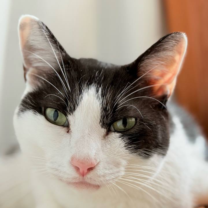 A7840620 76e4 4c3e a9b7 7169af772e5f 1727747289116