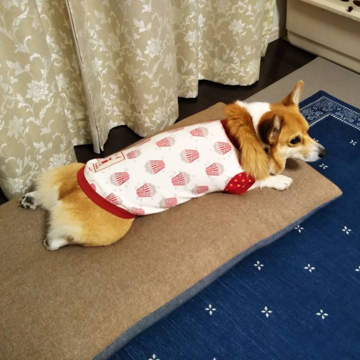 A7841a71 62cd 4f22 851d cee8200e71f3 1575211338715