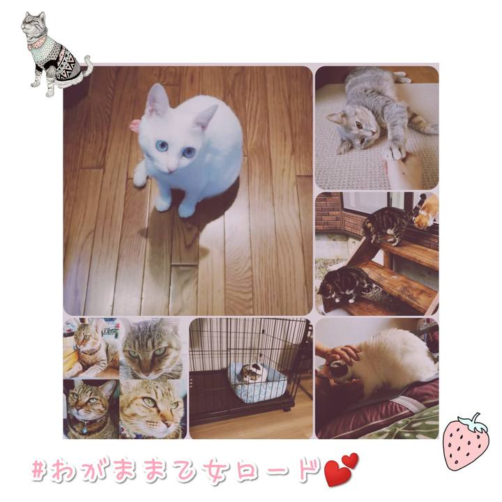 A78431fa 5666 43de a153 20e8b0da162b 1567913289704