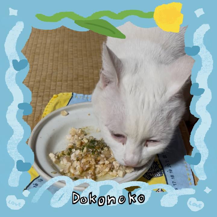 A7844653 2db5 46f7 8560 ade4bd6ed48b 1771935629890