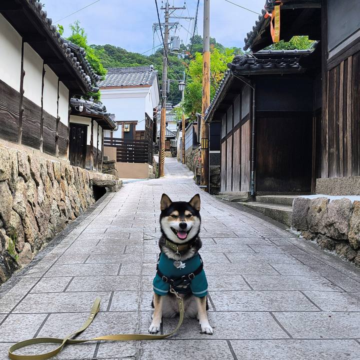 A784469c b8b4 4286 9add 657dead78cd2 1758624269715