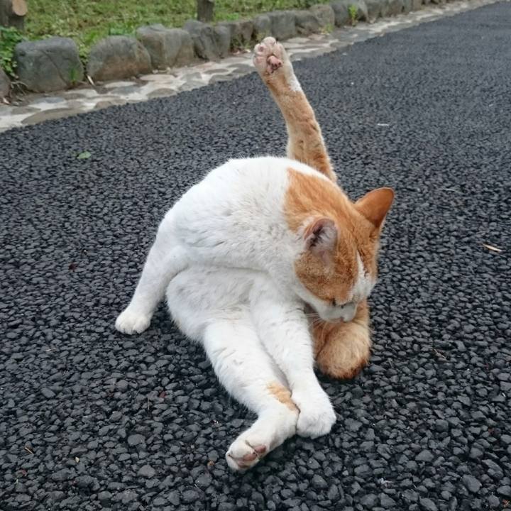 A7846273 0cbb 4a59 bec9 e1213f233711 1524645918179