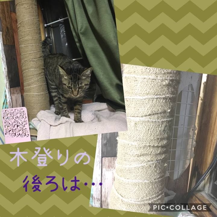 A7849c96 3694 4cc1 b30d def33b184427 1540729280850