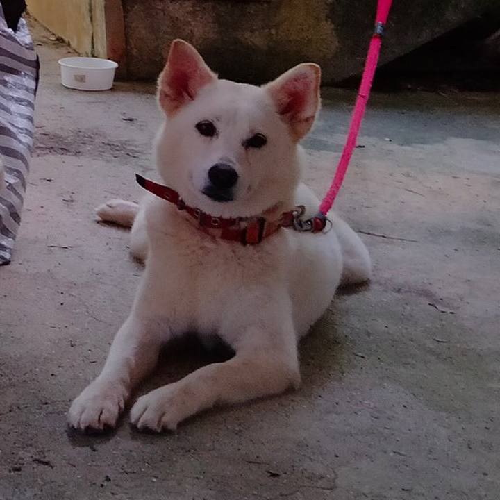 A784c451 5e03 419a 9f81 9f5e3aa61458 1656850458806