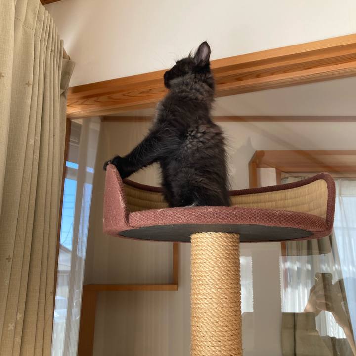 A784d61d 7cc9 48cf be59 e038de076719 1699419275564