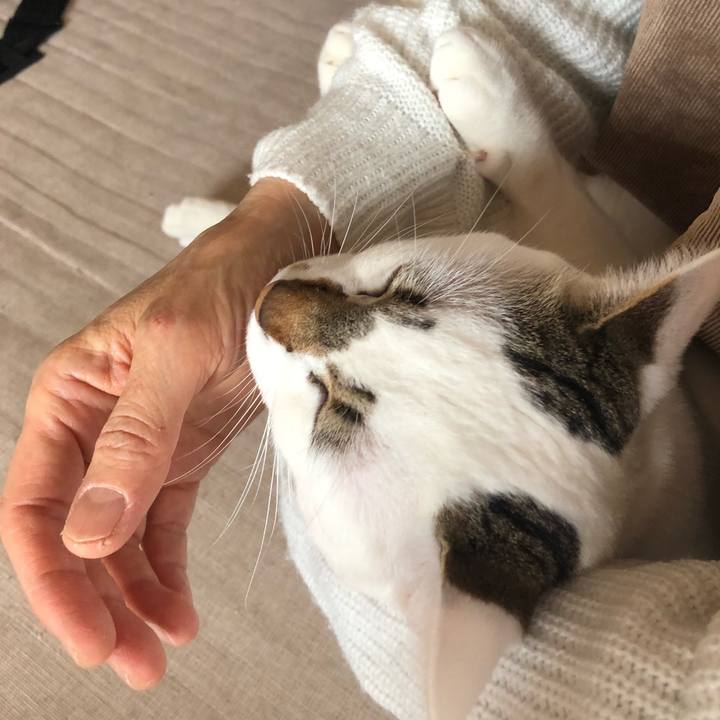 A785208f a659 446f bb12 cc63571e9921 1520137212972