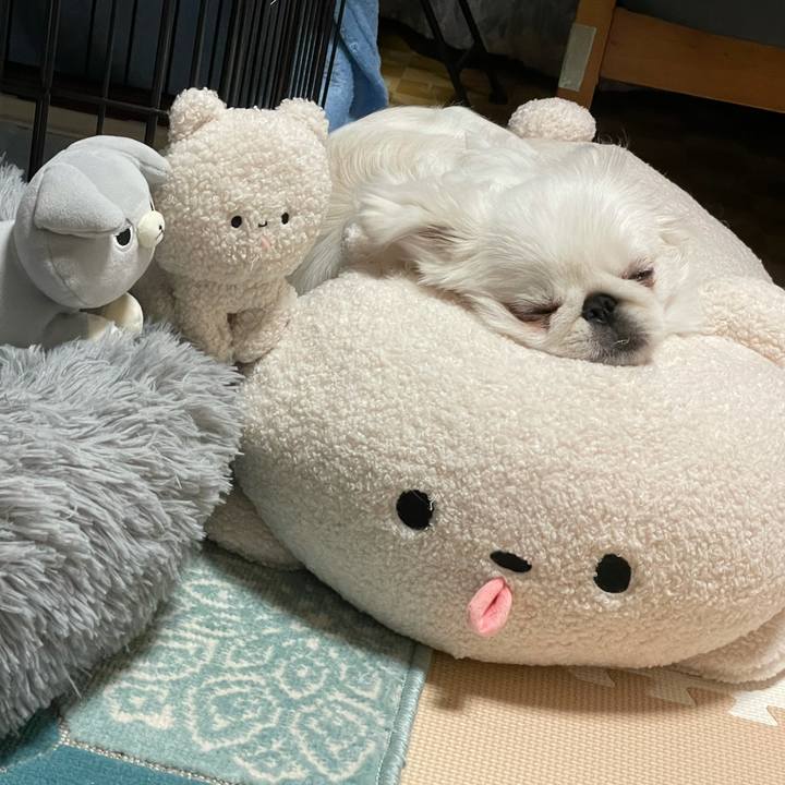 A7853234 1980 416e a9cb 956946e029e9 1639747388040