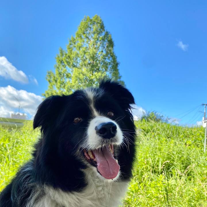 A7854ac8 234f 4f75 846a 88ab45763a02 1597447437739